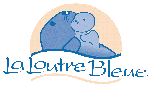 Piscine La Loutre Bleue, Le Teich